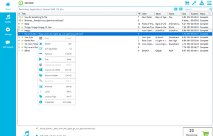 Replay Music screenshot 1