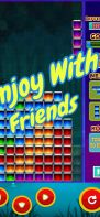 Classic Tetra Blitz Puzzle screenshot 3