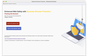 Symantec Browser Protection screenshot 1