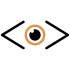 Session Hijacking Visual Exploitation icon