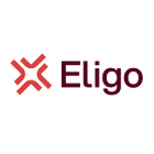 Eligo eVoting icon