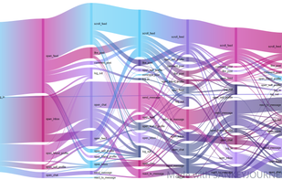Alluvial diagram from SankeyJourney showing the aggregate of all user journeys inside an app