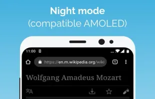 Kiwi Browser screenshot 2