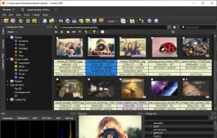 XnView MP screenshot 1