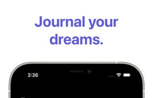 DreamLog screenshot 1