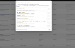 LightSync Pro screenshot 3