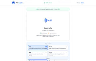 Detailed view of PrivAudio's format selection interface. Shows the four output format options (MP3, M4A, WAV, OGG) with descriptions of each format's use case.