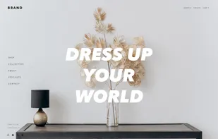 Online stores for home and decor brands.