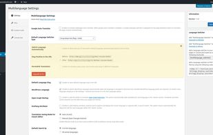 Multilanguage WordPress Plugin screenshot 2