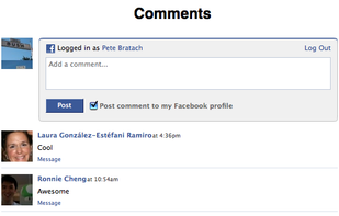 Facebook Comments Box screenshot 1