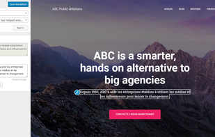 TranslatePress screenshot 1