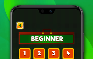 Pool Ball Sorting screenshot 2