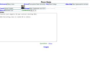 Database record view