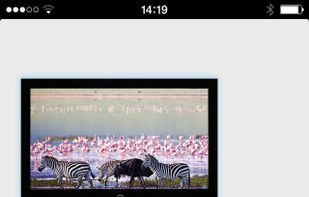 Flipps screenshot 1