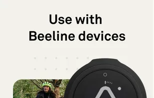 Beeline screenshot 1