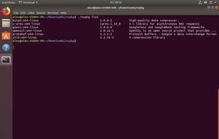 Vcpkg screenshot 1