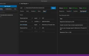 Thunder Client Tests