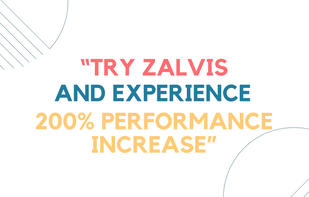 Zalvis.com screenshot 1