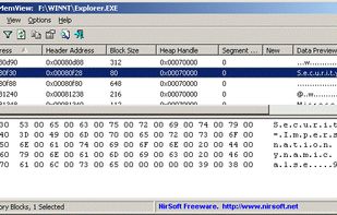 HeapMemView screenshot 1