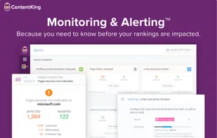 ContentKing screenshot 2