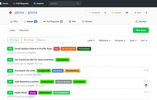 Repository Issues