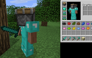 OpenInv screenshot 1