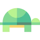 Turtle icon