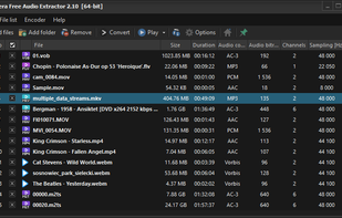 Pazera Free Audio Extractor screenshot 2