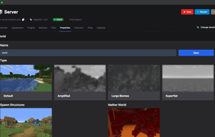 Server Property Customizer