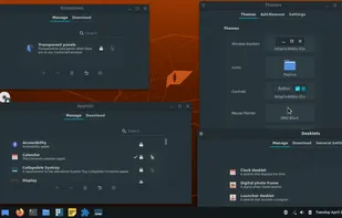 Ubuntu Cinnamon screenshot 2