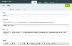 ProcessWire screenshot 1