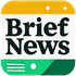 Brief News Daily icon