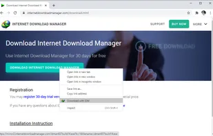 Internet Download Manager screenshot 2