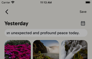 Gratitude Journal screenshot 2