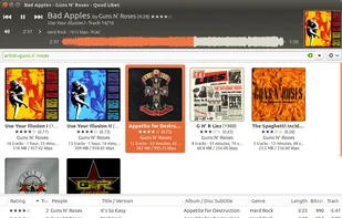 The cover grid browser, giving an even more visual anchor for libraries