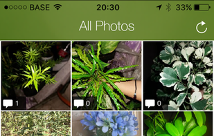 Plantifier screenshot 1