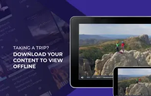 Purple.is screenshot 1