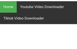 Savevideo.guru screenshot 1