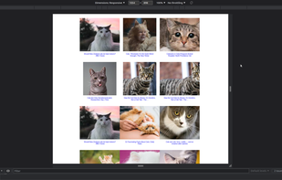 Flaru image search results for cats