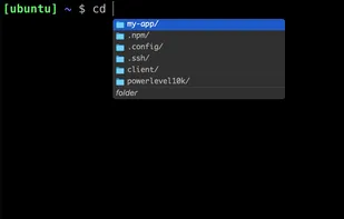 Fig Terminal screenshot 1