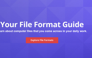 FileFormat.com screenshot 1