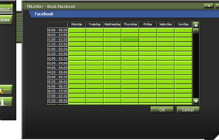 Choosing the times to block Facebook.