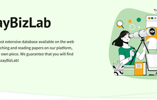 EssayBizLab screenshot 2