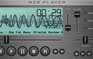 BZR Player screenshot 1