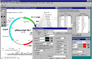 BioEdit screenshot 3