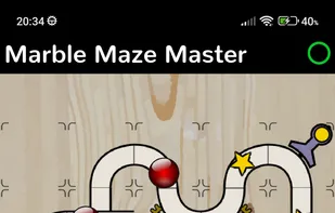Marble Maze Master screenshot 1