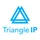 Triangle IP Icon