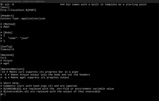 Screenshot displaying the built in starter template in ain