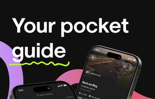 Festiveo screenshot 2