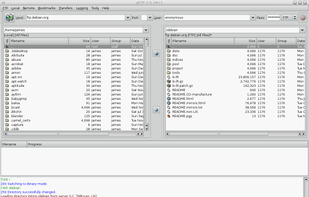 gFTP screenshot 1